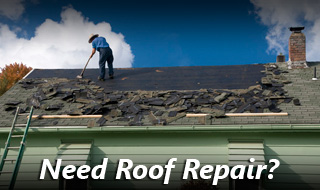 Your ALT Text For The Main Image Goes Here